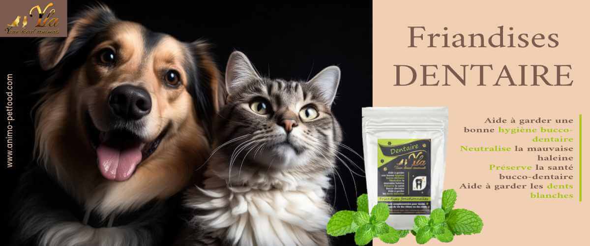 friandises-sante-bucco-dentaire-optimale-chez-les-chiens-et-chats